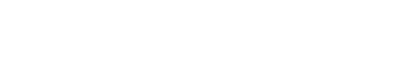 SECURITIZE logo